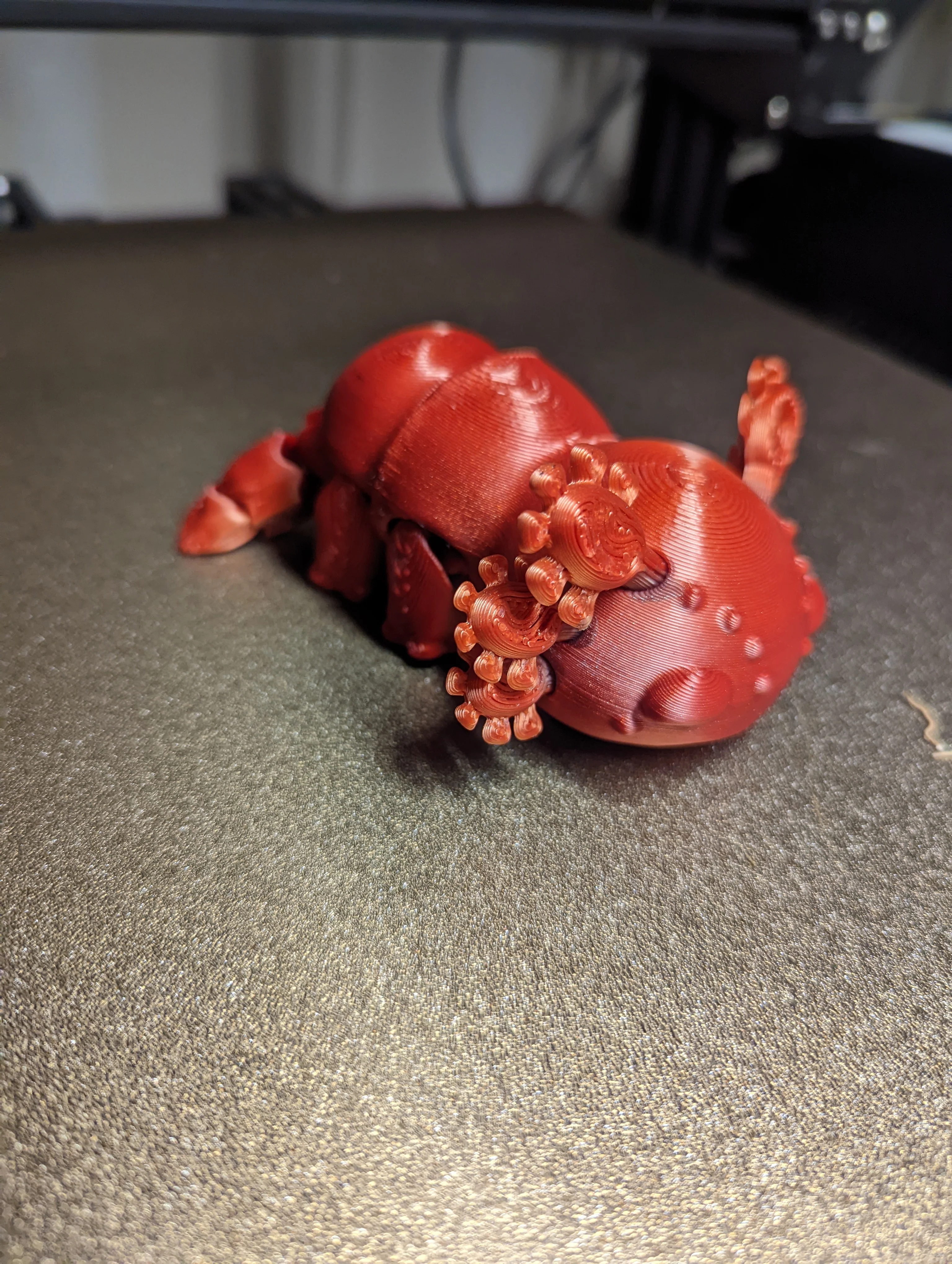 Flexi Axolotl - Image 4
