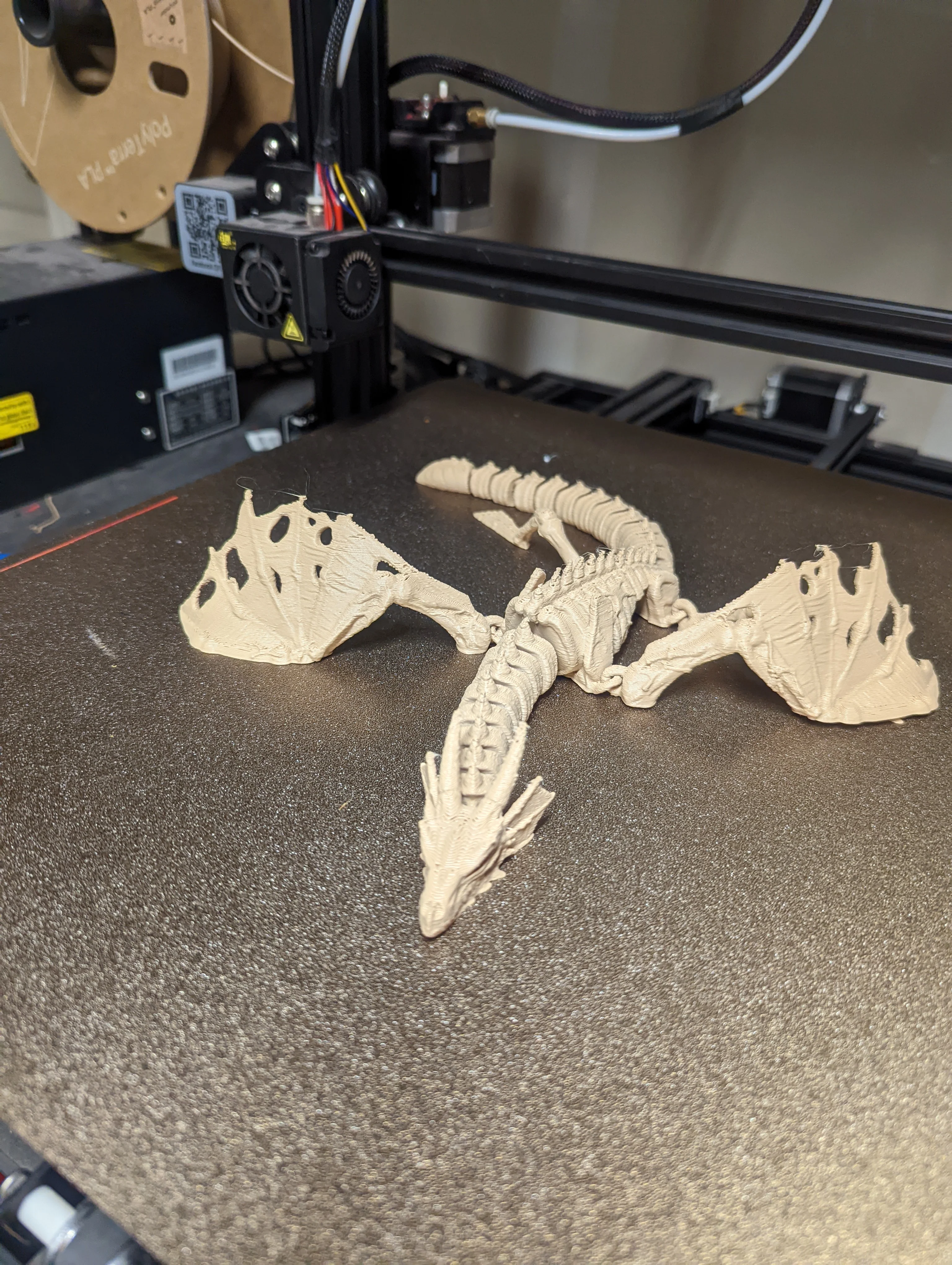 Flexi Bone Dragon - Image 2