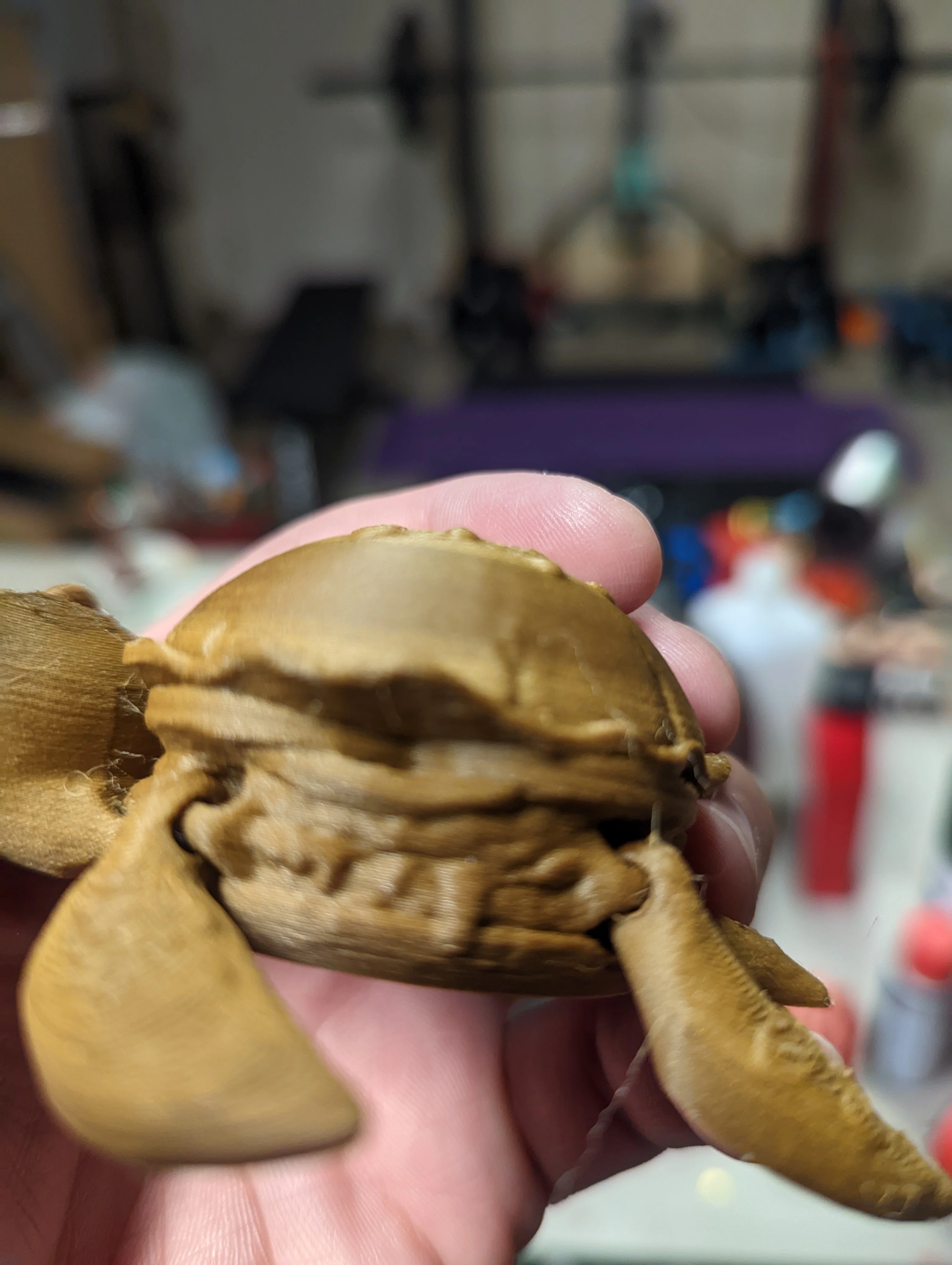 Flexi Burger Turtle - Image 2