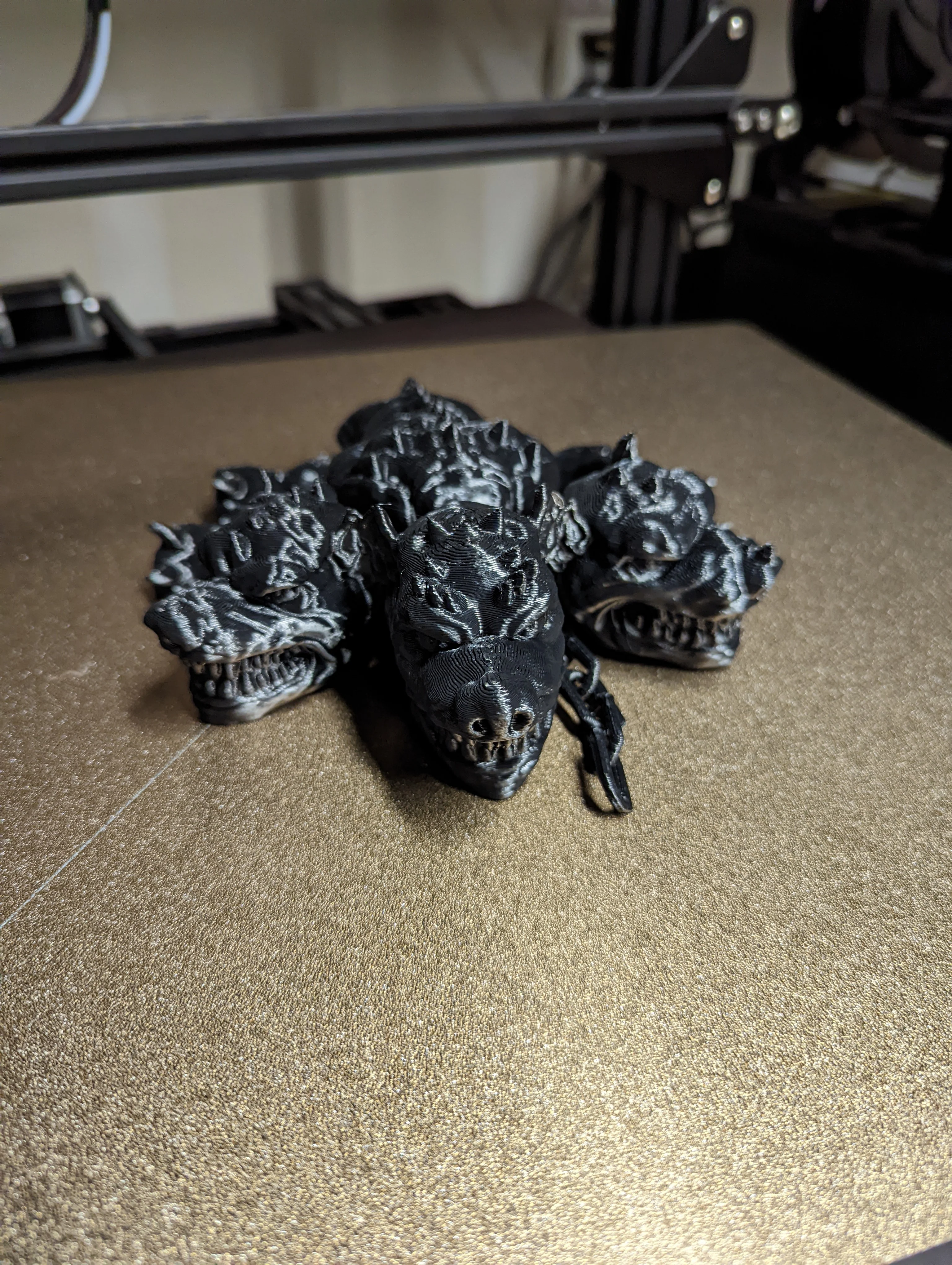 Flexi Cerberus