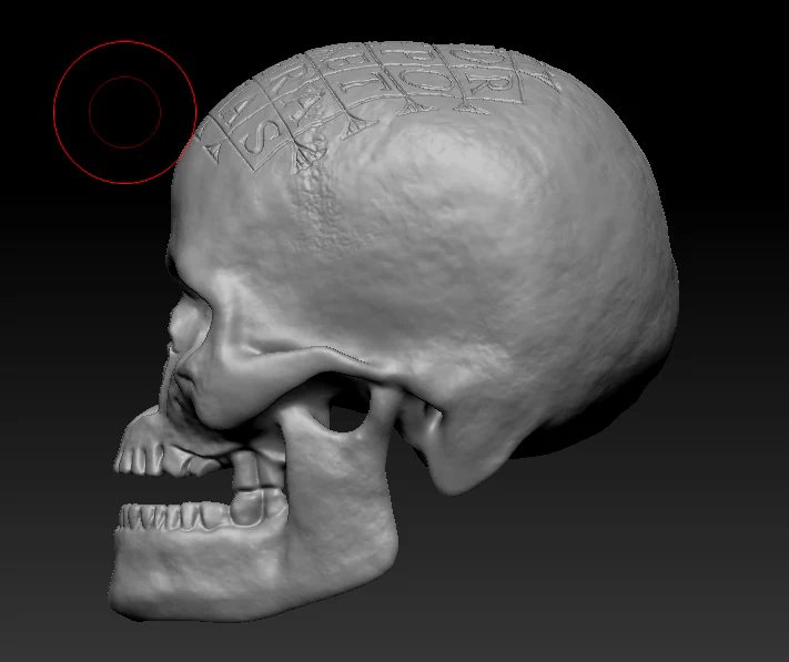 German Oath Skull - Image 2