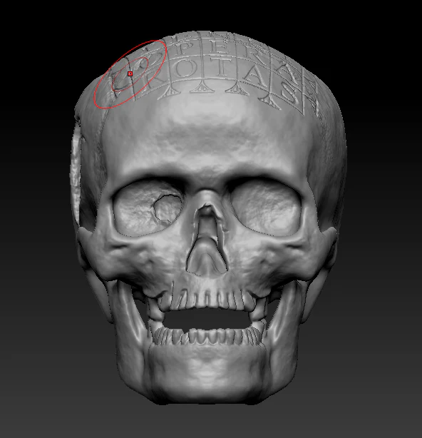 German Oath Skull - Image 3