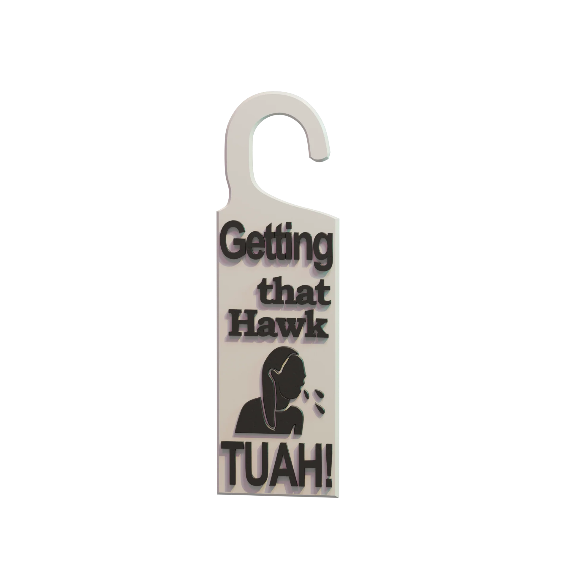 Hawk Tuah Do Not Disturb Sign